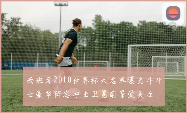 西班牙2010世界杯大名单曝光斗牛士豪华阵容冲击卫冕前景受关注