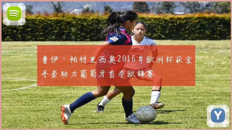 鲁伊·帕特里西奥2016年欧洲杯获金手套助力葡萄牙首夺欧锦赛