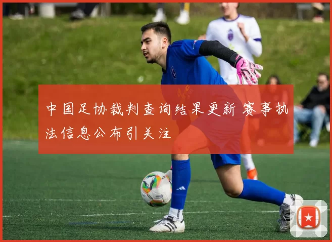 中国足协裁判查询结果更新 赛事执法信息公布引关注