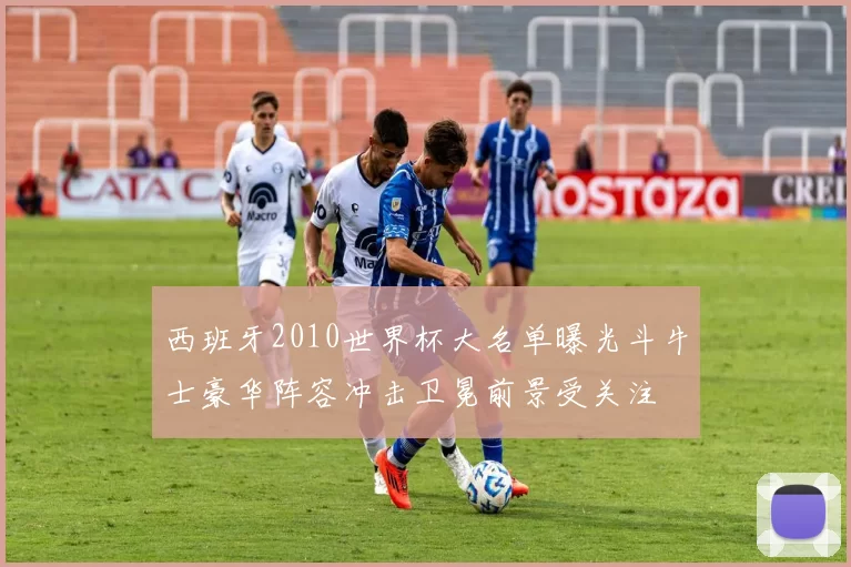 西班牙2010世界杯大名单曝光斗牛士豪华阵容冲击卫冕前景受关注