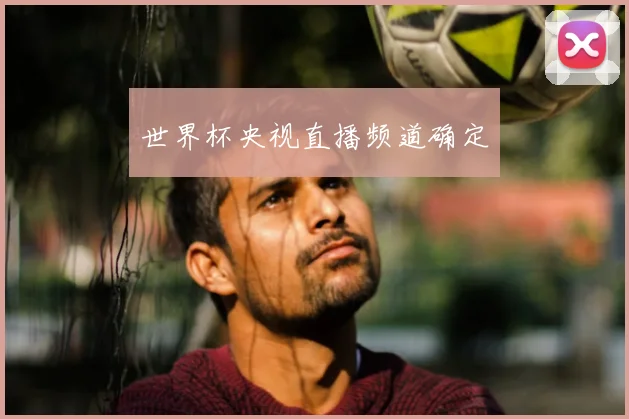 世界杯央视直播频道确定
